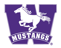 Mustang_Purple.jpg